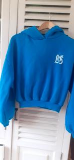 Blauwe hoodie, Ophalen of Verzenden, Zo goed als nieuw, Blauw