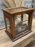 Laboratorium vitrine, Antiek en Kunst, Ophalen of Verzenden