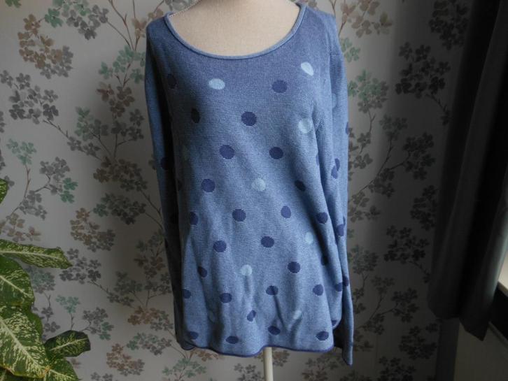 CECIL trui 100% katoen, Kleding | Dames, Truien en Vesten, Gedragen, Maat 38/40 (M), Blauw, Ophalen of Verzenden