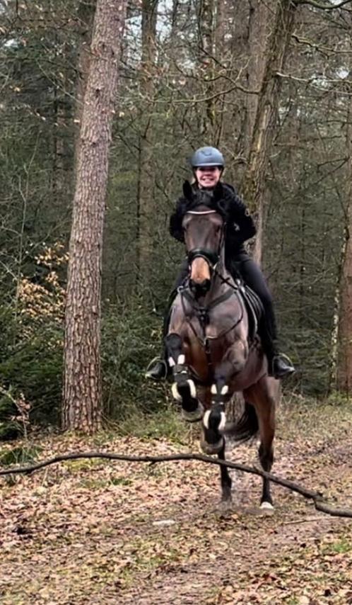 Fantastisch allround merrie, Dieren en Toebehoren, Paarden, Merrie, B, 160 tot 165 cm, 3 tot 6 jaar, Recreatiepaard, Ontwormd
