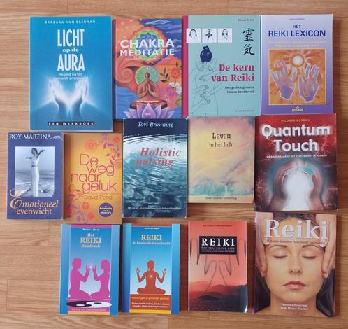 Reiki Licht Holistic pulsing Quantum Touch Aura Chakra, Boeken, Esoterie en Spiritualiteit, Zo goed als nieuw, Achtergrond en Informatie