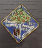 Tegel regering jubileum 1898 1938, Verzamelen, Ophalen of Verzenden, Zo goed als nieuw, Kaart, Foto of Prent