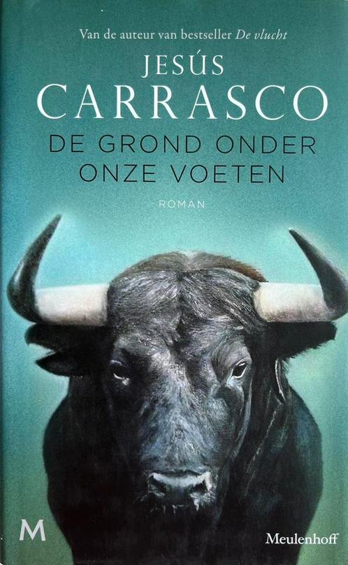 Jesús Carrasco - De grond onder onze voeten, Boeken, Literatuur, Zo goed als nieuw, Nederland, Verzenden
