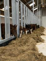 voerhek, Dieren en Toebehoren, Stalling en Weidegang, Stalling