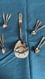 Natfruitlepel met bijbehorende kleine lepels, Ophalen of Verzenden