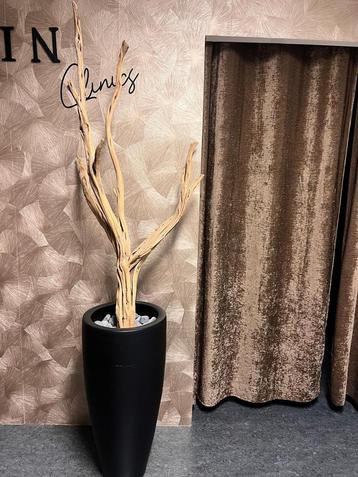Luxe goshwood vaas met takken voor woning of zaak beschikbaar voor biedingen