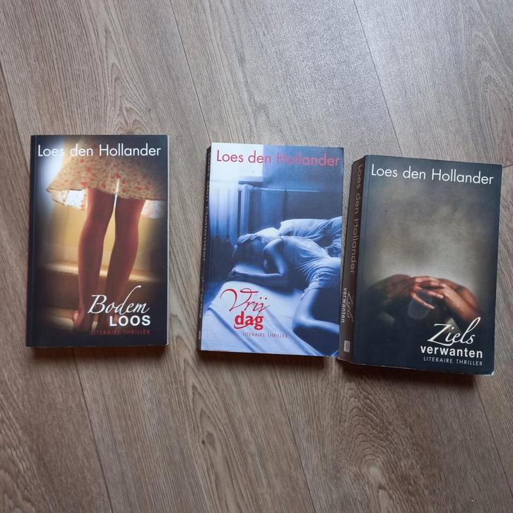 Loes den Hollander - Bodemloos, Boeken, Thrillers, Zo goed als nieuw, Ophalen of Verzenden