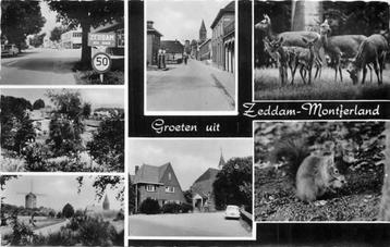 (301-347-043) Zeddam Groeten uit beschikbaar voor biedingen
