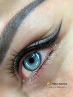 Permanent make-up :wenkbrauwen ,eyeliner en lipblush, Ophalen, Zo goed als nieuw, Gehele gezicht, Verzorging