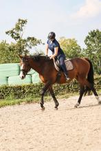 Bijrijder aangeboden, Ophalen of Verzenden