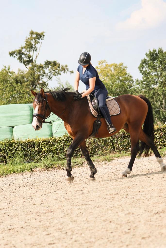 Bijrijder aangeboden, Dieren en Toebehoren, Paarden en Pony's | Verzorgingsproducten, Ophalen of Verzenden