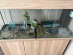 Juwel rio 180 licht bruin., Dieren en Toebehoren, Ophalen, Gebruikt, Leeg aquarium