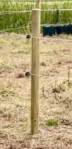 Alles voor een omheining o.a 40 palen, Weidegang, 2 of 3 paarden of pony's