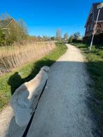 Honden uitlater, Dieren en Toebehoren, Stalling en Weidegang