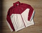 Trainingsjack Puma & Red Bull Racing / Max Verstappen (XL), Kleding | Heren, Puma, Beige, Overige typen, Maat 56/58 (XL)