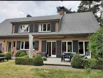 28 stuks massief meranti raamluiken beschikbaar voor biedingen