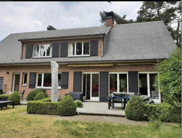 28 stuks massief meranti raamluiken, Doe-het-zelf en Verbouw, Deuren en Horren, Zo goed als nieuw, Overige typen, Hout