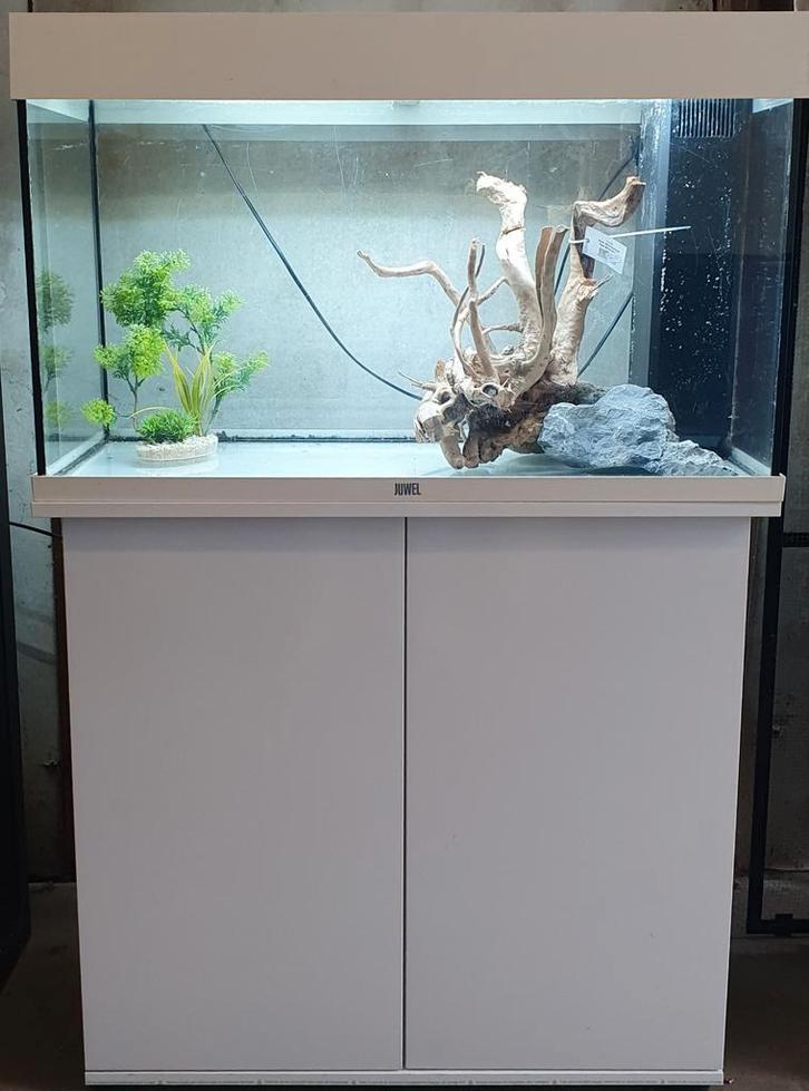 Juwel Rio 125, Dieren en Toebehoren, Vissen | Aquariumvissen, Zoetwatervis, Vis