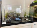 Nieuw aquarium met toebehoren, 54 liter, als set of los, Ophalen of Verzenden, Nieuw, Leeg aquarium