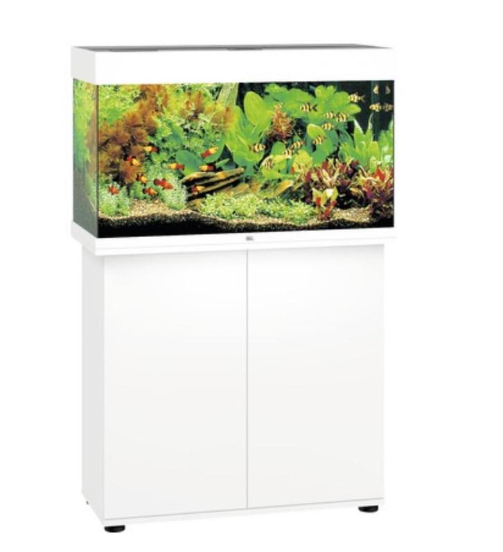 Aqarium zonder vissen, Dieren en Toebehoren, Vissen | Aquaria en Toebehoren, Zo goed als nieuw, Leeg aquarium, Ophalen of Verzenden