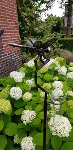 regenmeter / rvs/ LIBELLE