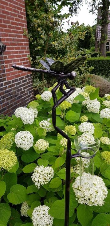 regenmeter / rvs/ LIBELLE beschikbaar voor biedingen