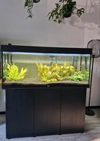 Juwel aquarium Rio 240 met onderkast en toebehoren., Dieren en Toebehoren, Vissen | Aquaria en Toebehoren, Ophalen, Zo goed als nieuw