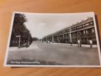 Den Haag  Wassenaarscheweg, Ophalen of Verzenden, 1960 tot 1980, Ongelopen, Zuid-Holland