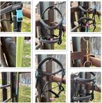 Shetland spullen te koop, Dieren en Toebehoren, Paarden en Pony's | Overige Paardenspullen, Ophalen of Verzenden, Overige soorten