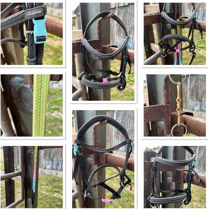 Shetland spullen te koop, Dieren en Toebehoren, Paarden en Pony's | Overige Paardenspullen, Overige soorten, Ophalen of Verzenden