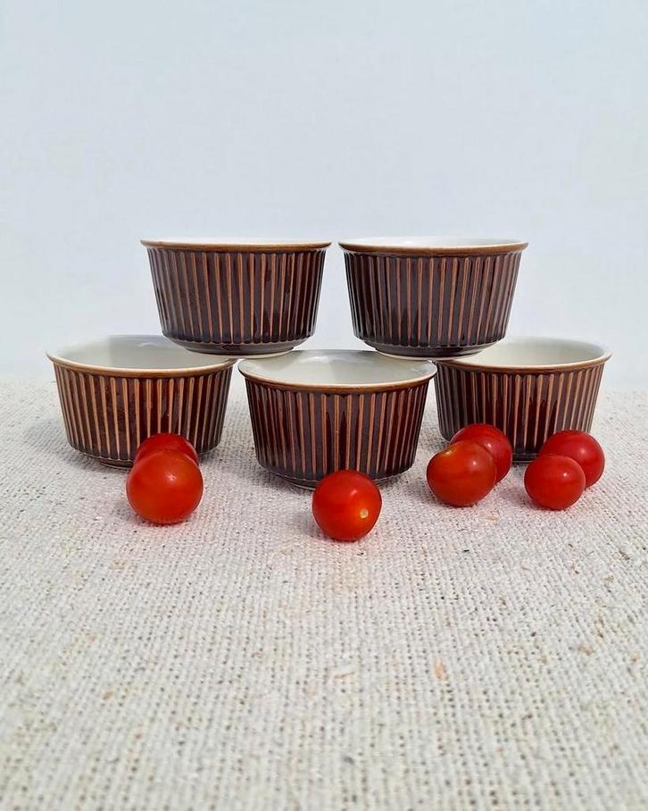 5 Villeroy & Boch ovenbestendigr bakjes ramekins bruin, Huis en Inrichting, Keuken | Servies, Zo goed als nieuw, Overige stijlen