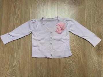 Young Dimension vest roze maat 80 beschikbaar voor biedingen