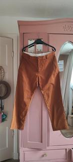 Chino broek camel bruine kleur, Maat 52/54 (L), Bruin, Ophalen of Verzenden, Zo goed als nieuw