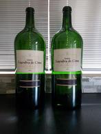 Show flessen 2x 5 liter, Verzamelen, Ophalen of Verzenden, Zo goed als nieuw, Frankrijk