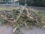 6 kuub a-kwaliteit hout: Akazia, kers, noot, eik, Tuin en Terras, Haardhout, Minder dan 3 m³, Ophalen