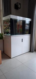 Eheim incpiria 300, Ophalen, Gebruikt, Leeg aquarium