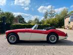 Austin Healey BJ8, 1964, Auto's, Austin, Achterwielaandrijving, Leder, Particulier, Blauw