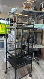3 x vogel kooi voor Muisparkieten, Dieren en Toebehoren, Ophalen, Zo goed als nieuw, Metaal, Vogelkooi