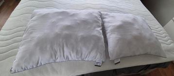 2 hoofdkussens merk silverstar bedtextiel 2 kussens voor €5 beschikbaar voor biedingen