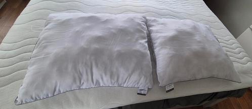 2 hoofdkussens merk silverstar bedtextiel 2 kussens voor €5, Huis en Inrichting, Slaapkamer | Beddengoed, Zo goed als nieuw, Kussen