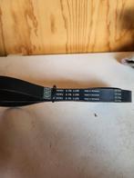 multiriem Renault Scenic 2 1.6 16v K4M, Ophalen of Verzenden, Nieuw, Renault