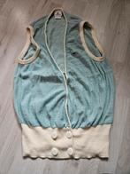 Orginele lacoste spencer maat 46, Lacoste, Ophalen of Verzenden, Zo goed als nieuw, Maat 46/48 (XL) of groter