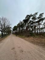 Mooi bosperceel in het oosten van Noord Brabant, Huizen en Kamers, Kavels en Percelen, Verkoop zonder makelaar, Uden, 1500 m² of meer