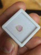 Watermeloen Toermalijn schijfje - 1,05ct - #10, Ophalen of Verzenden, Nieuw