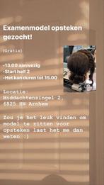 Model opsteken gezocht! (Gratis), Sieraden, Tassen en Uiterlijk, Uiterlijk | Haarverzorging, Ophalen of Verzenden