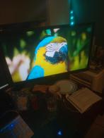 24 Inch Gaming Monitor - 144Hz 1ms 1080P - AOC, Gaming, IPS, 101 t/m 150 Hz, Full HD