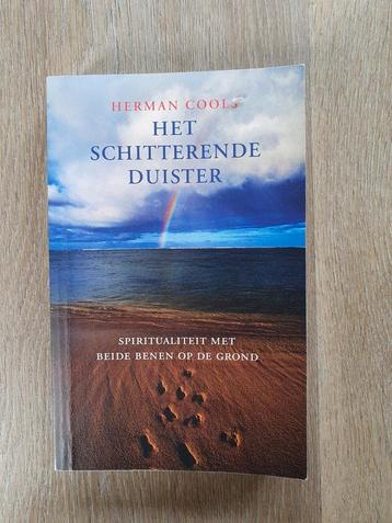 Herman Cools - Het schitterende duister beschikbaar voor biedingen