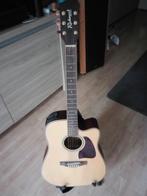 Semi Akoestisch Jumbo gitaar merk Richmond, Ophalen, Zo goed als nieuw, Overige typen