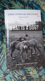 What is a Dog? - Als Nieuw!, Ophalen of Verzenden, Zo goed als nieuw, Honden, Raymond & Lorna Coppinger