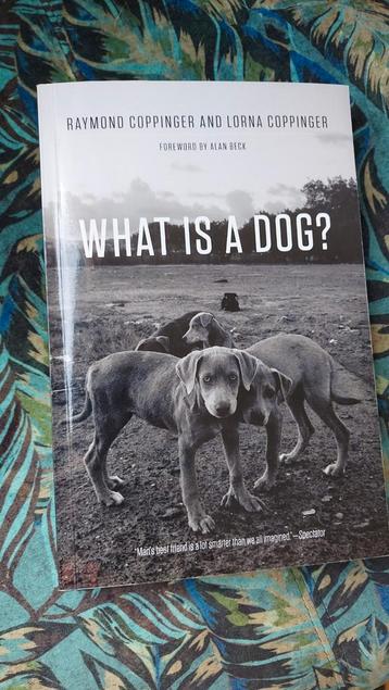 What is a Dog? - Als Nieuw! beschikbaar voor biedingen